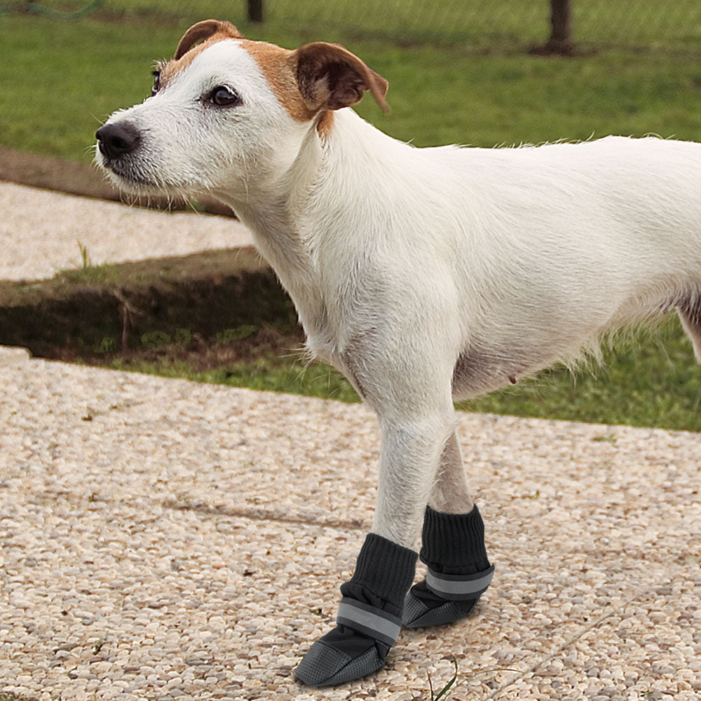 PROTECTIVE SHOES