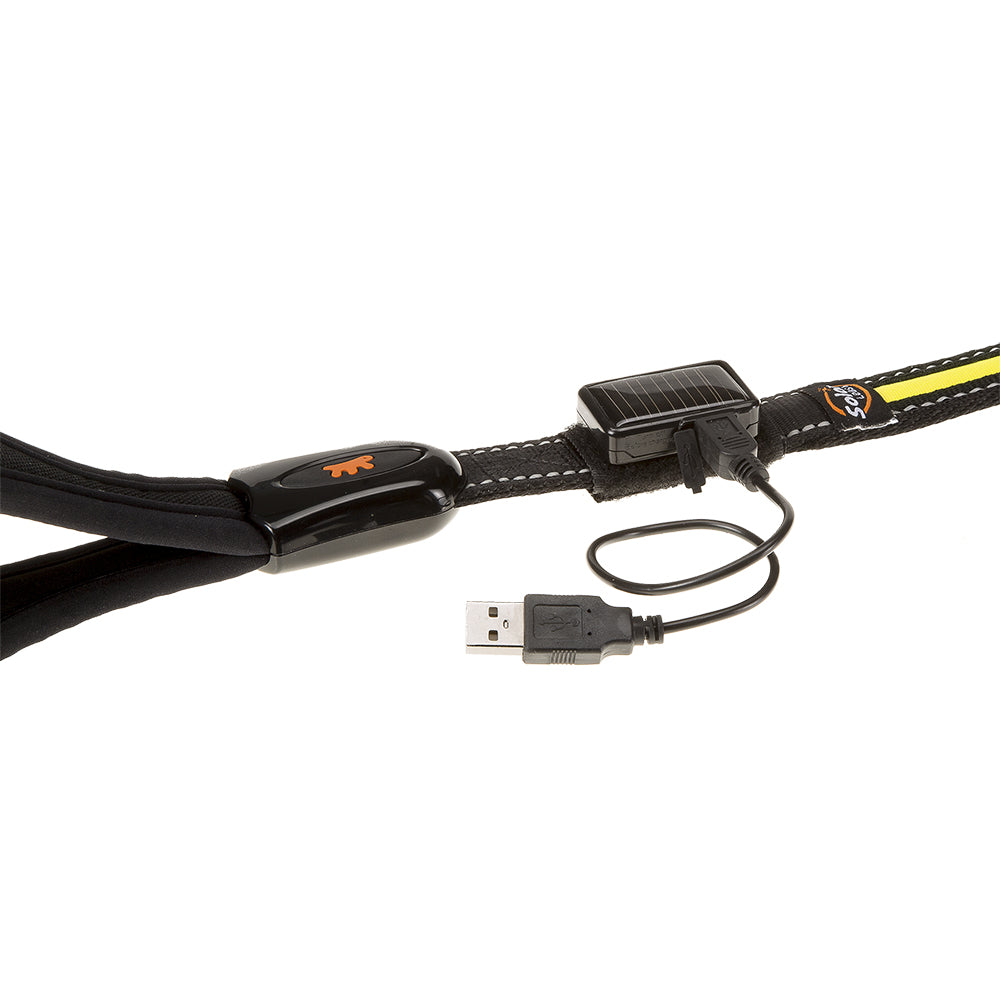 ERGOLED G