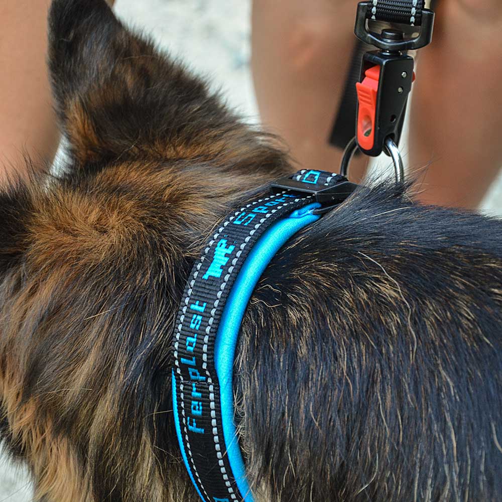 SPORT DOG MATIC G