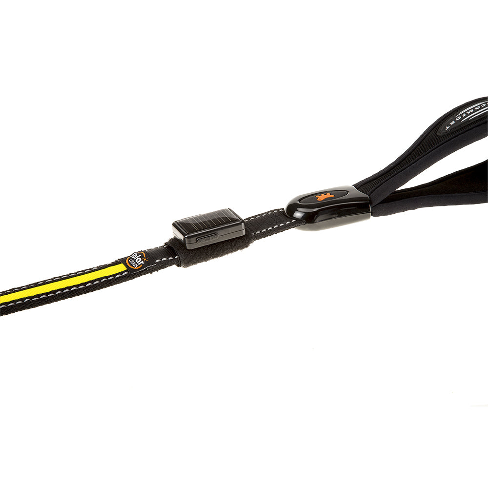 ERGOLED G