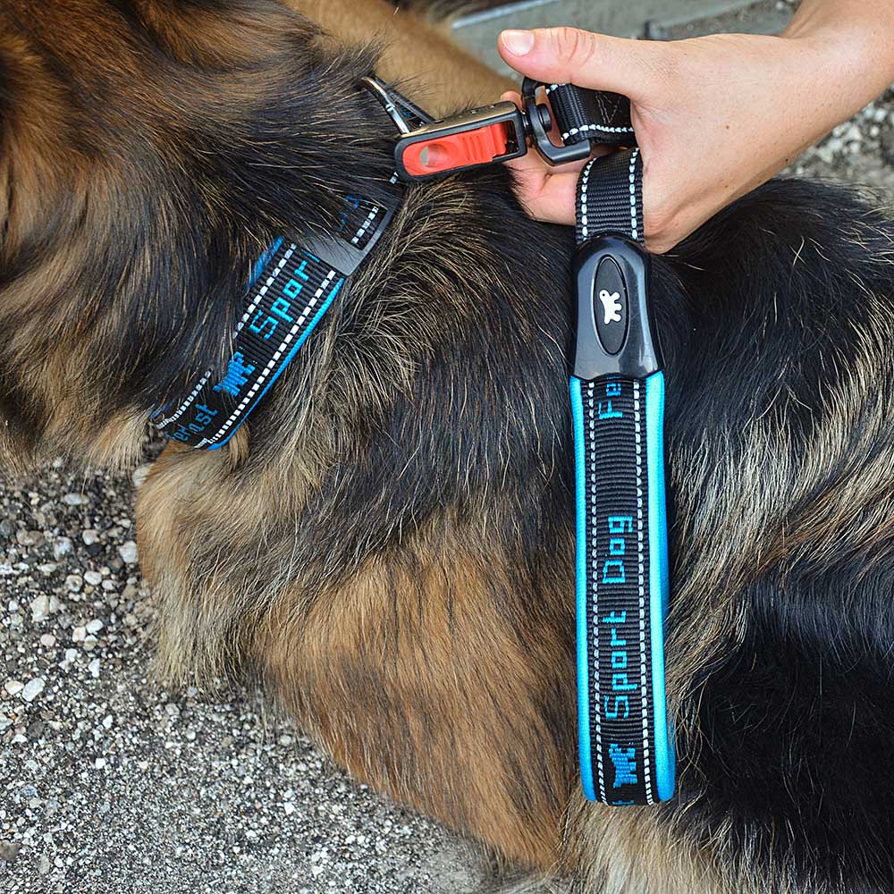 SPORT DOG MATIC G