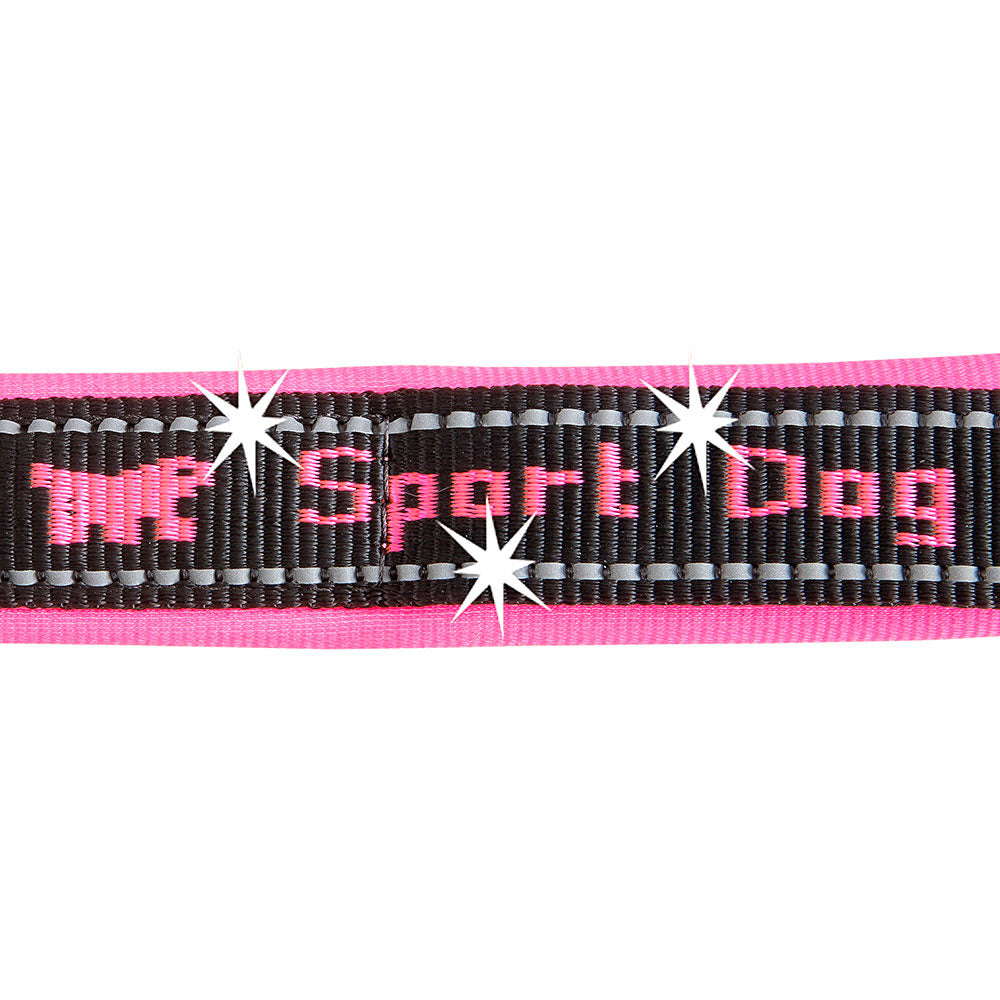 SPORT DOG MATIC G