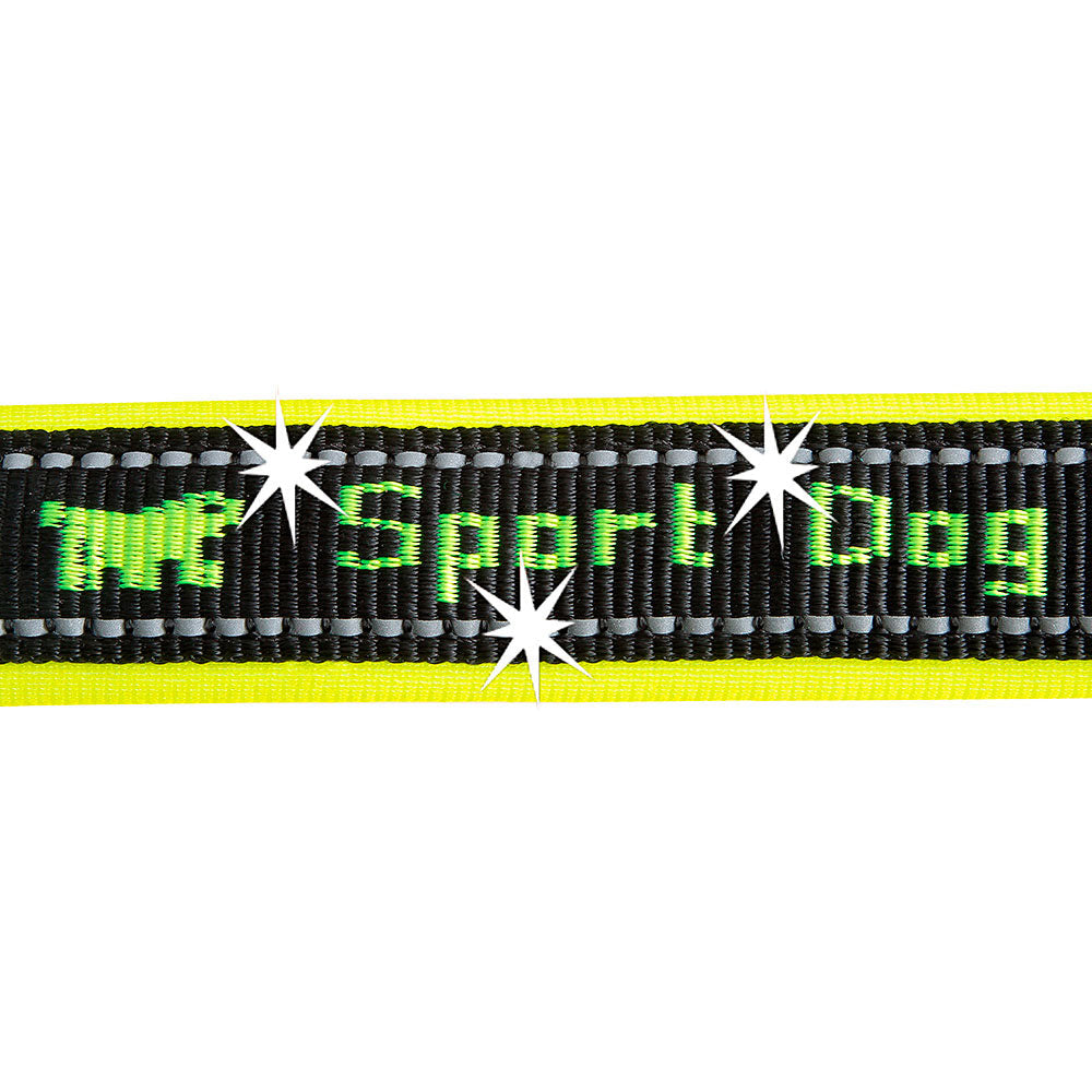 SPORT DOG MATIC G