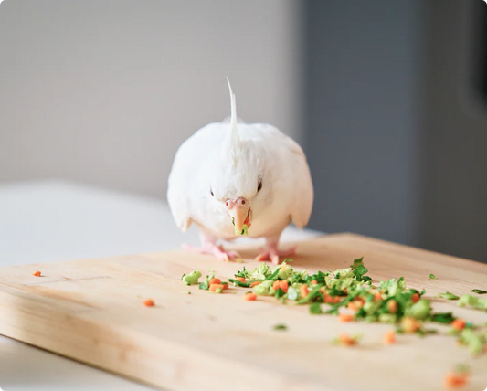 Bird Fried Food