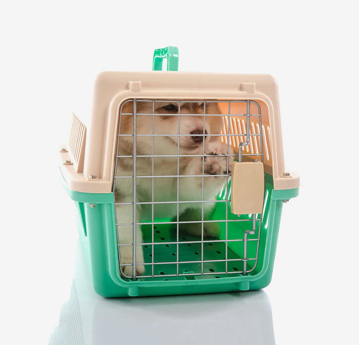 Cat Plastic Cage